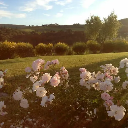 With One Bedroom In San Gimignano, With Pool Access, Furnish Apartment San Gimignano