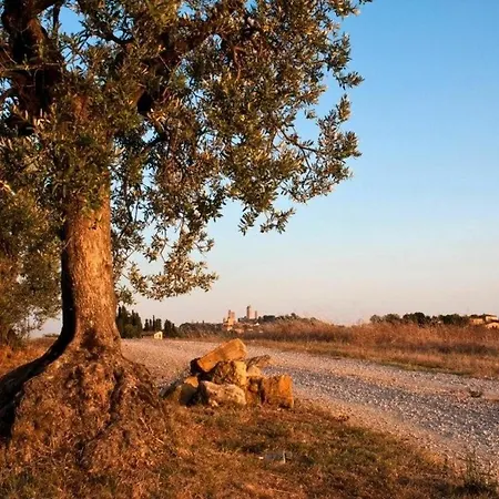 With One Bedroom In San Gimignano, With Pool Access, Furnish * San Gimignano